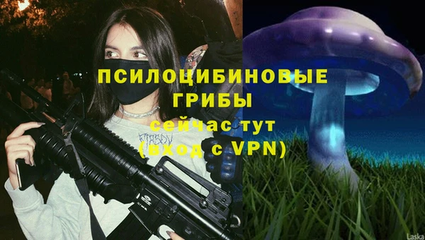 мяу мяу мука Алексеевка