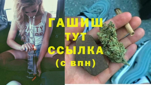 дмт Алексин