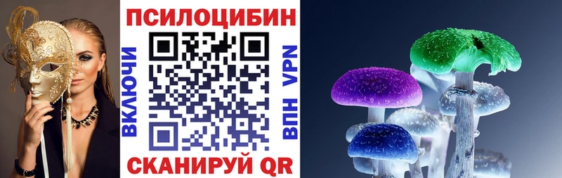 blacksprut tor где продают Апатиты Галлюциногенные грибы Cubensis