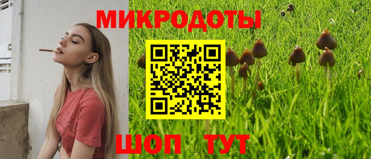 Галлюциногенные грибы прущие грибы  Вход с VPN  Апатиты  Галлюциногенные грибы GOLDEN TEACHER 
